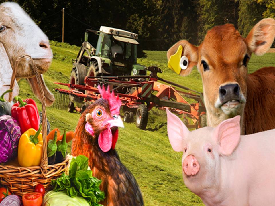 Fundamentos de Agropecuaria
