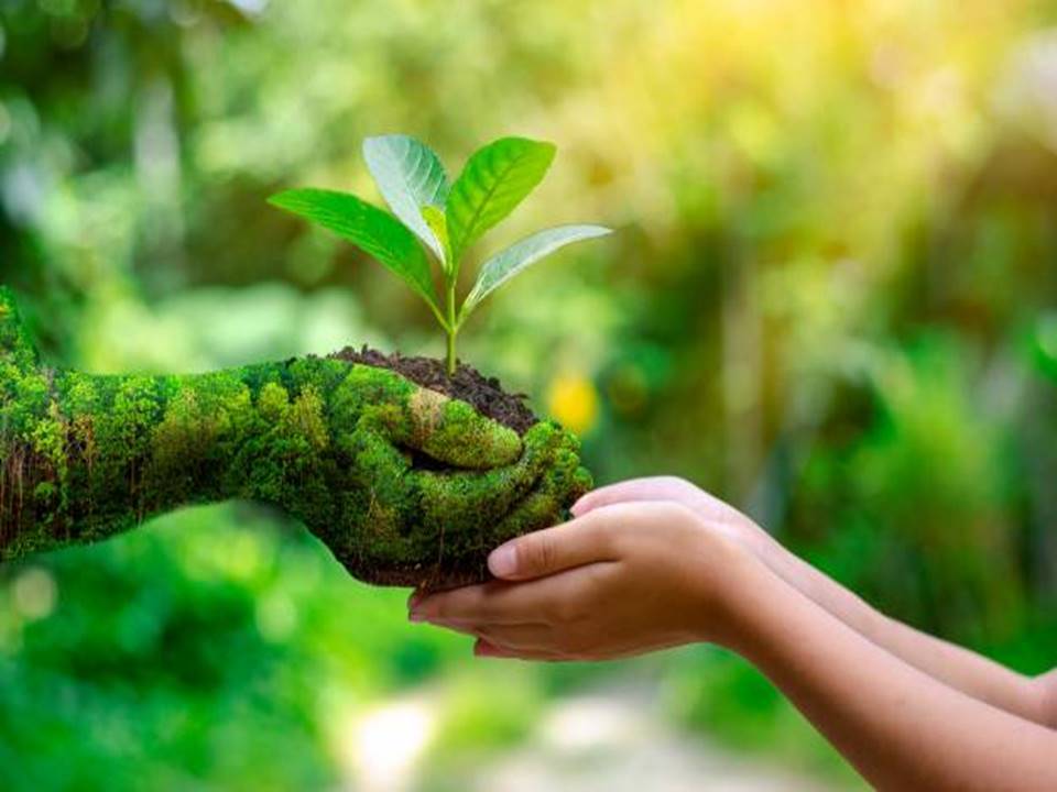 Educación Ambiental
